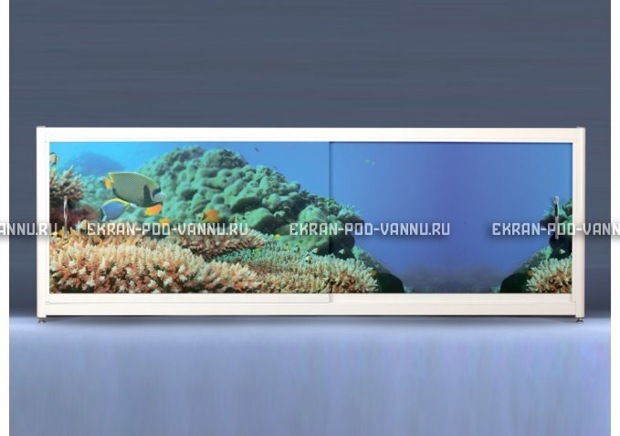 Экран на роликах EUROPLEX Коралловые рифы – купить по цене 12400 руб. в интернет-магазине в городе Севастополь картинка 1